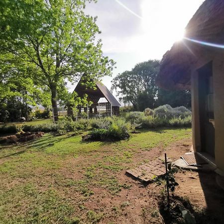 Drakensberg Bush Lodge And Backpackers Winterton Exterior photo